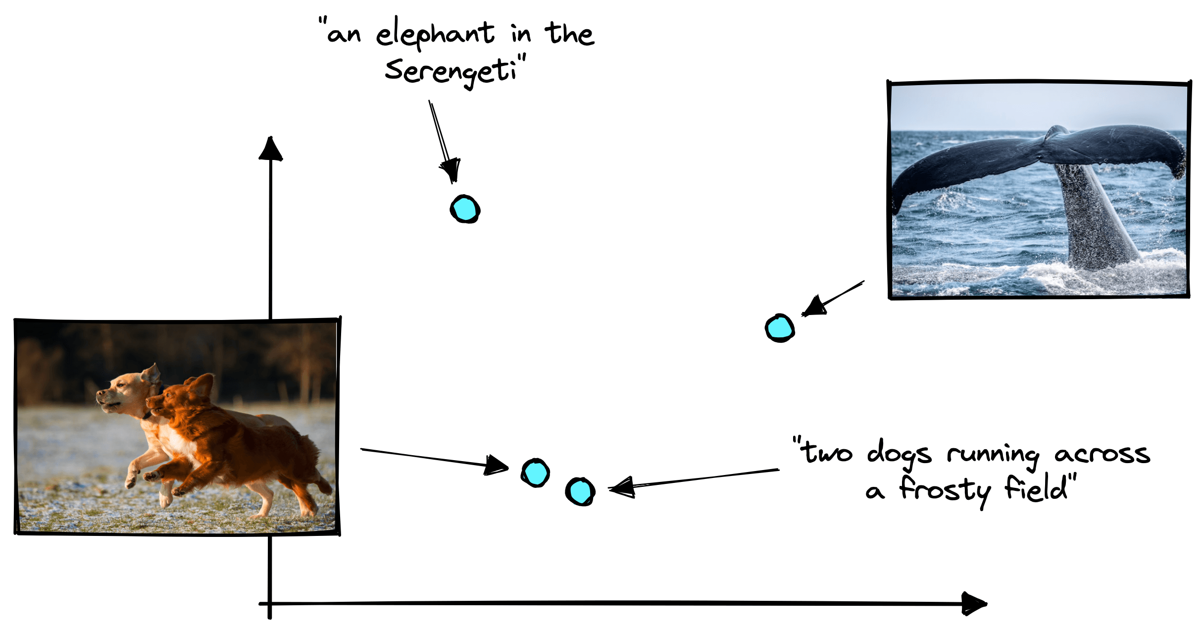 Similar text and images will be encoded into a similar vector space. Dissimilar text and images do not share a similar vector space.